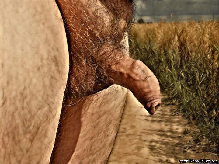 My uncut cock with beautiful foreskin outdoors art style