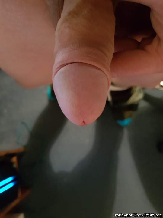 Photo of a penis from robbyboi