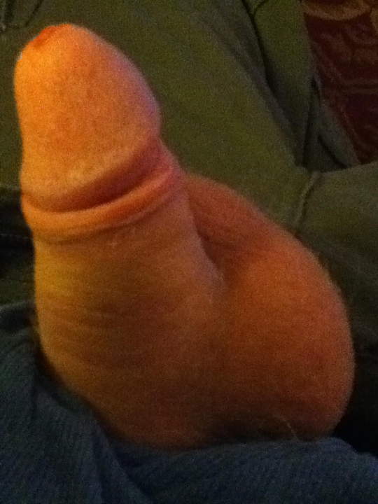 Photo of a penile from PoopSmith