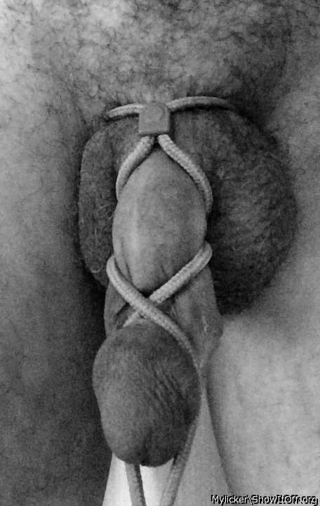 Nicely tied up cock!!    