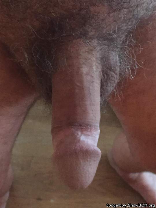 Photo of a dong from dodgerboy