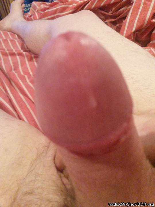 Photo of a penis from MRDICK69