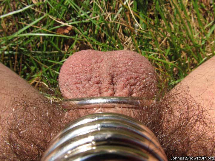 Testicles Photo from Johnas