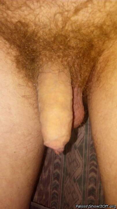    beautiful cock and pubes