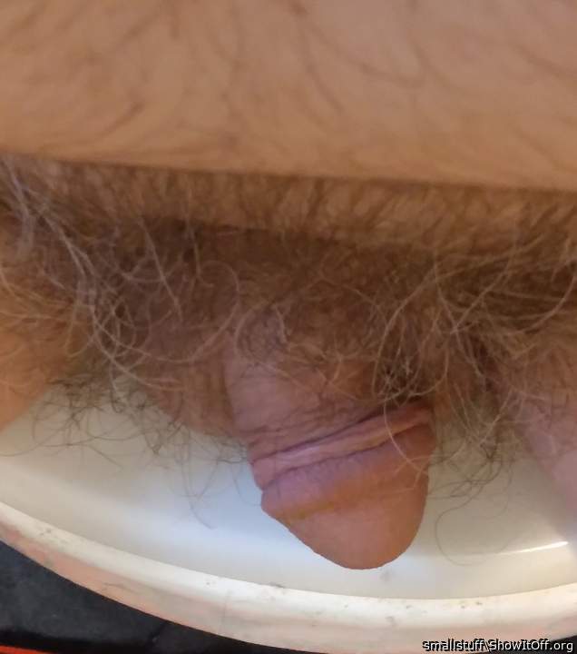 Photo of a penis from smallstuff