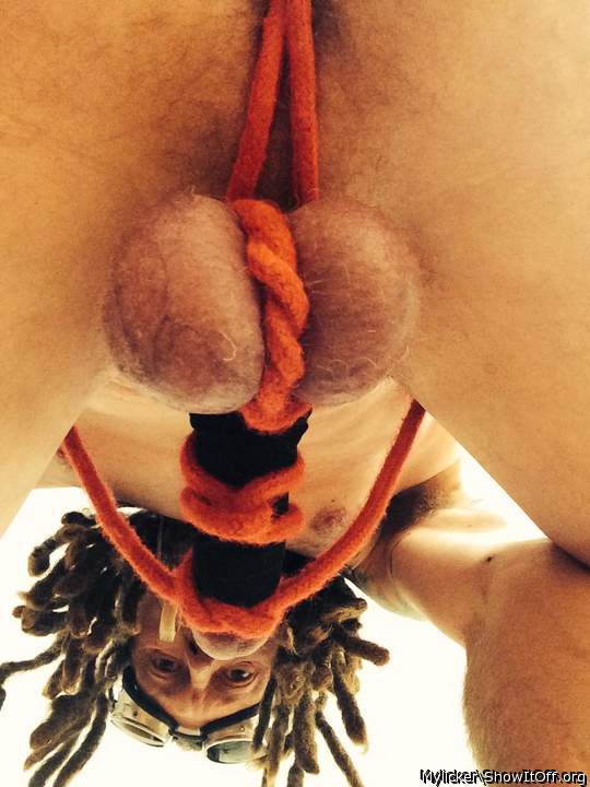 Its perfect cock and balls tied