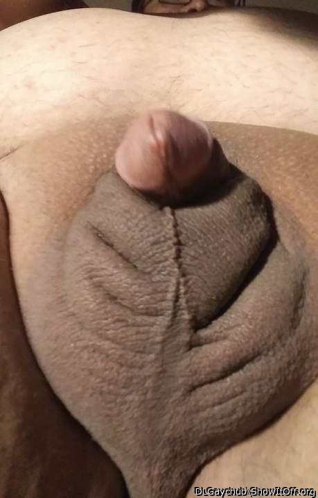 Photo of a penis from DLGaychub