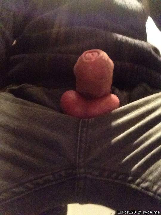 Photo of a cock from Lukas123