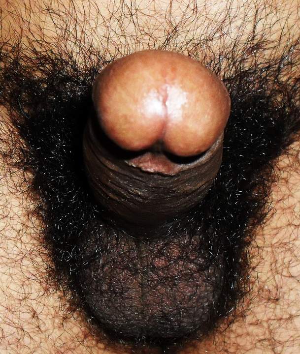 Photo of a cock from darklatino