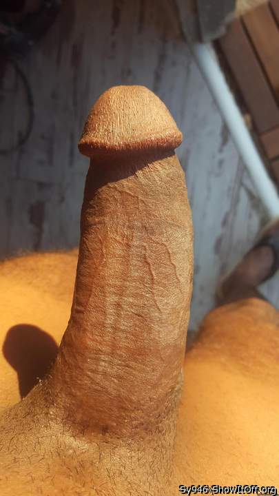 Photo of a meat stick from Sy946