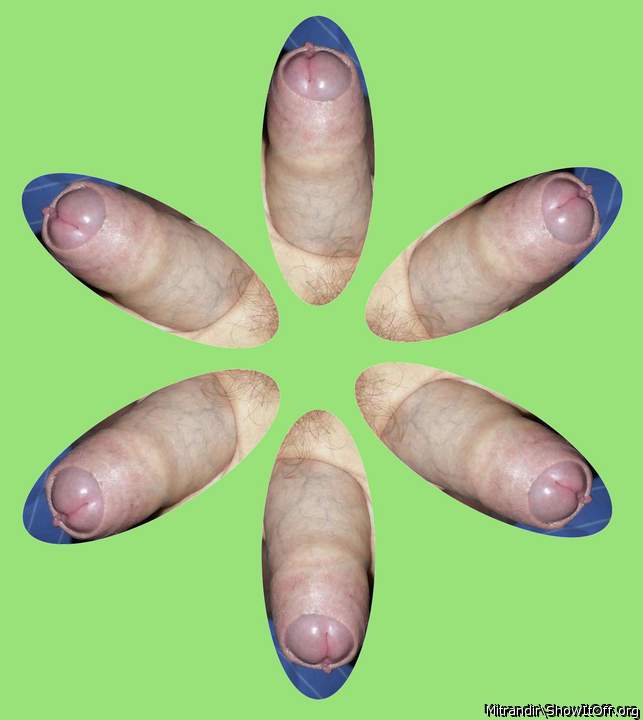 Photo of a penile from Mitrandir