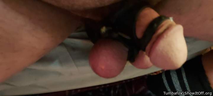 Photo of a phallus from Tumbafox