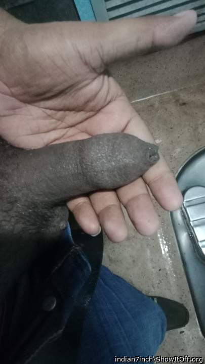 Photo of a python from indian7inch
