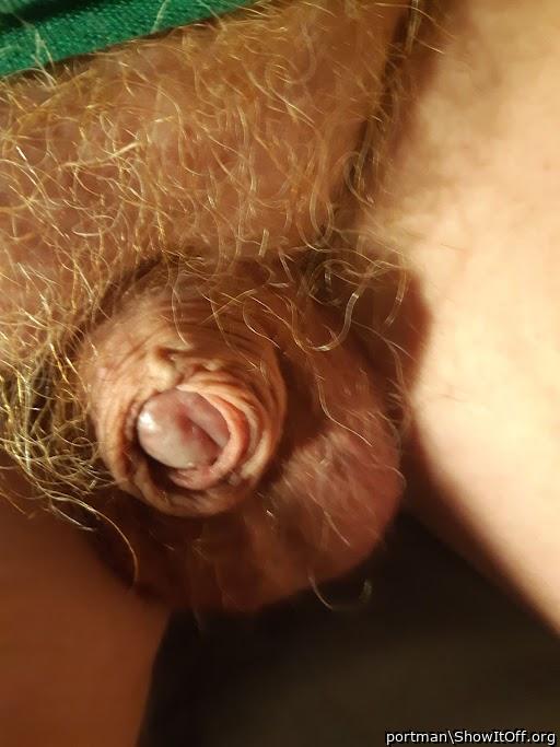 Ginger nuts