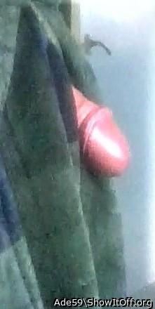 Photo of a short leg from Ade59