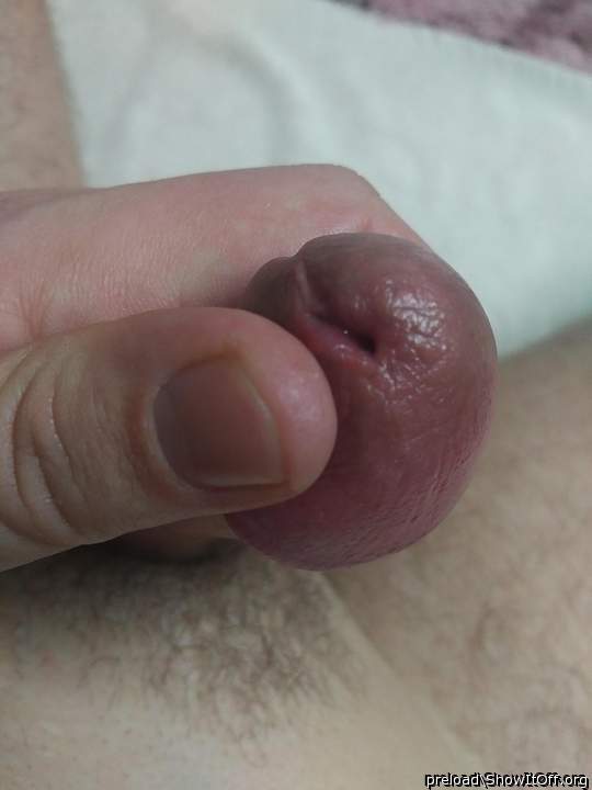 Photo of a cavalier from preload