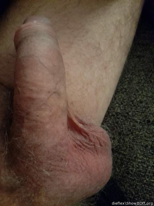 my cock