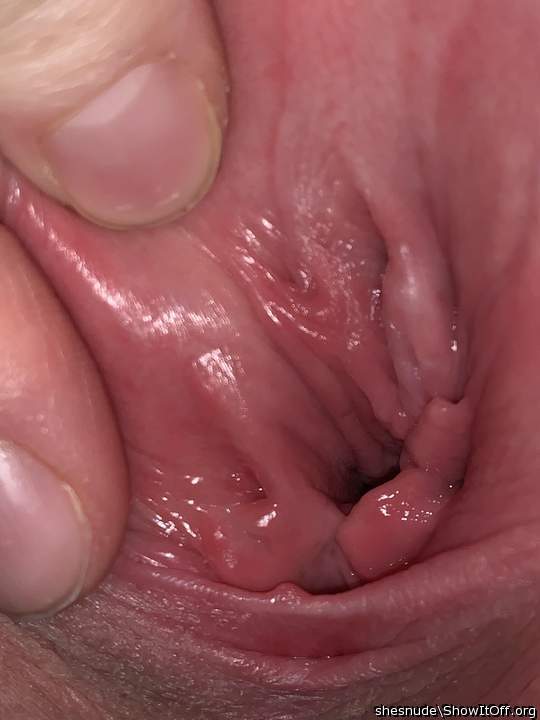 Photo of a third leg from Shesnude