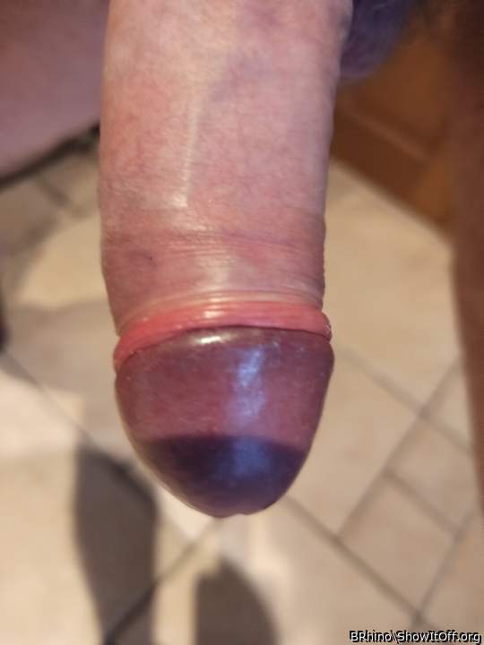 Photo of a snake from BRhino