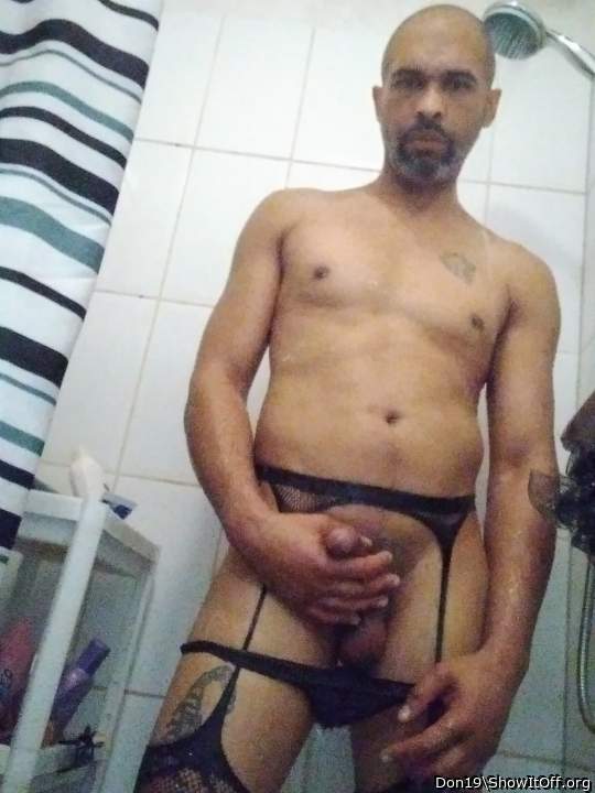 Photo of a bat from Don19