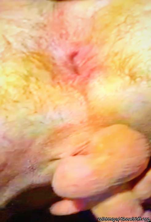 Photo of a weasel from colbtmguy