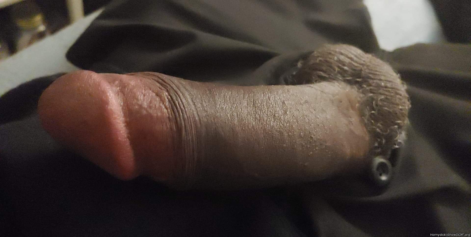 Photo of a schlong from Hornydick