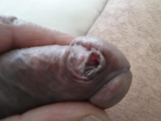 Photo of a weasel from Cumlover