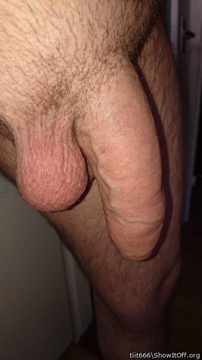 Photo of a dong from tiit666