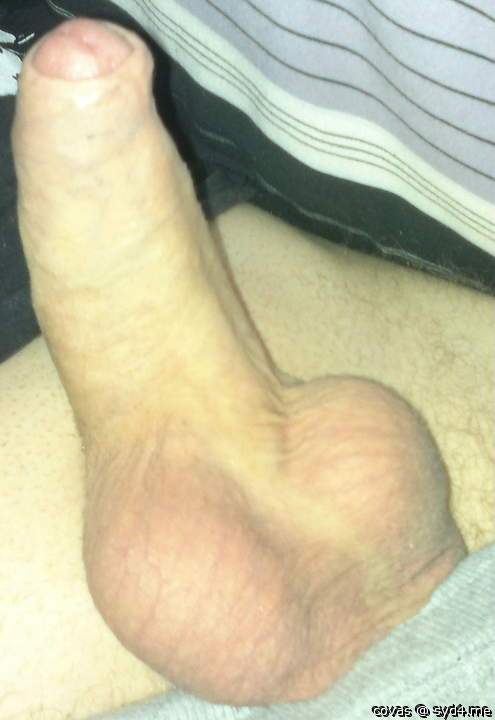 Photo of a horn from covas
