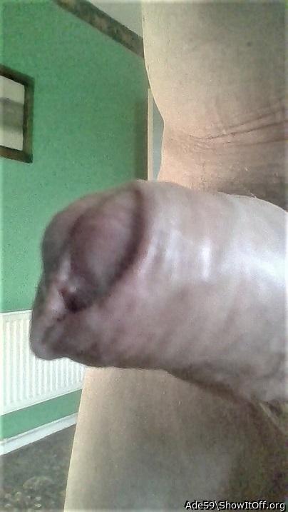 Photo of a bat from Ade59