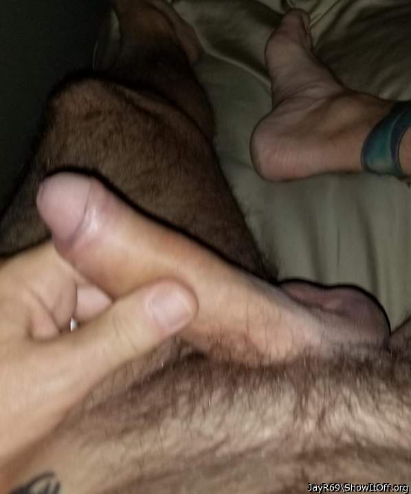 Photo of a bat from JayR69