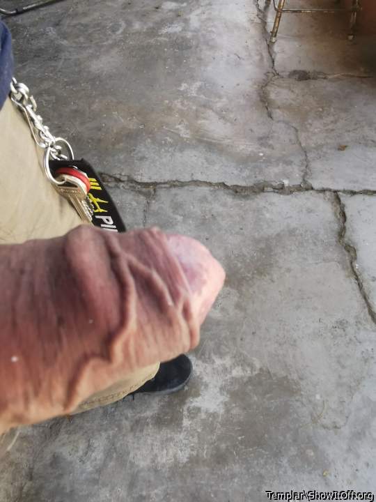 Photo of a penis from Templar