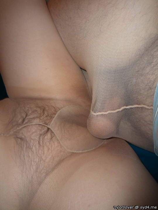 Adult image from nylonlover