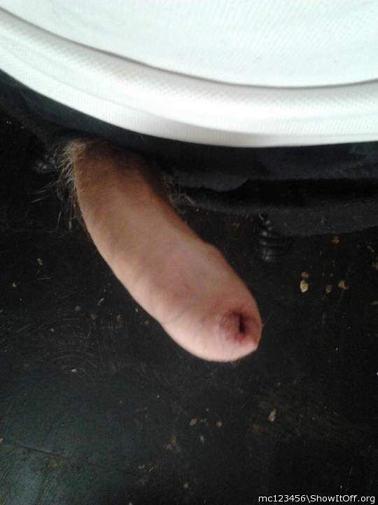 Photo of a middle leg from mc123456