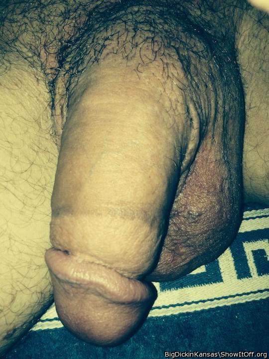Plump