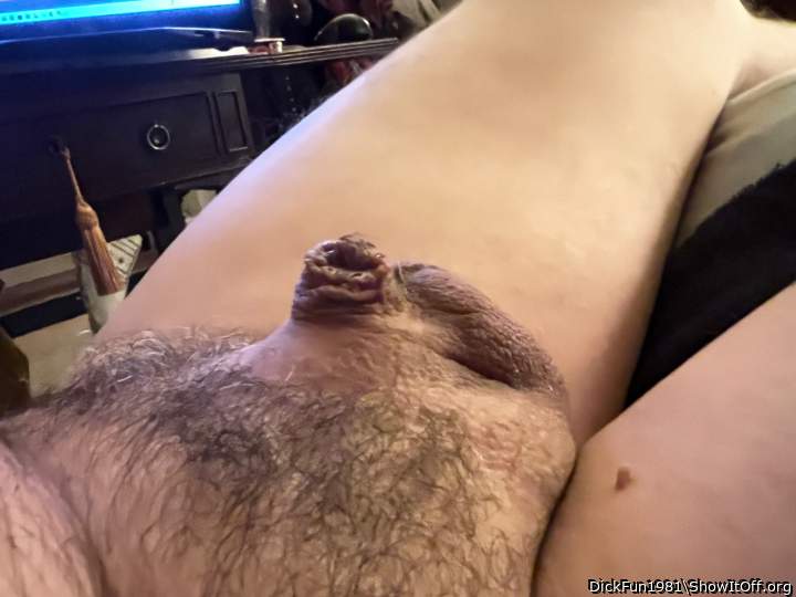 Photo of a drain pipe from DickFun1981