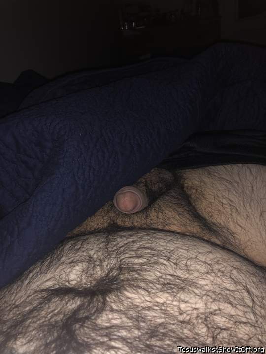Photo of a cock from Tesuswalks