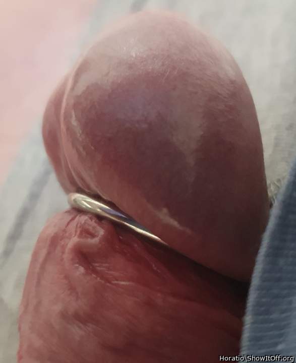 Photo of a third leg from Horatio