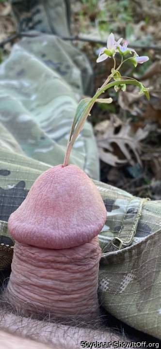 Photo of a boner from 50yobear