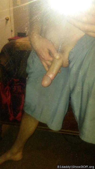Photo of a lizard from B1daddy