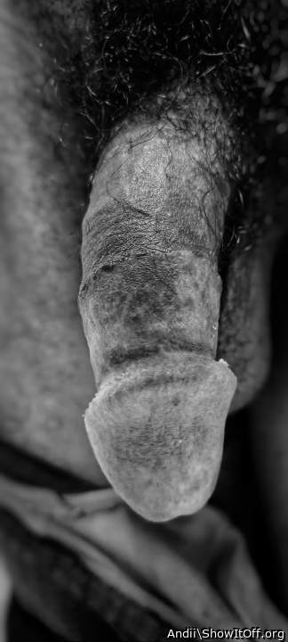 Photo of a dick from Andii
