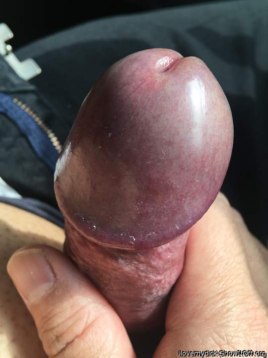 Photo of a python from ilovemydick