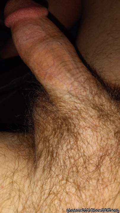 Photo of a cock from phoenix013