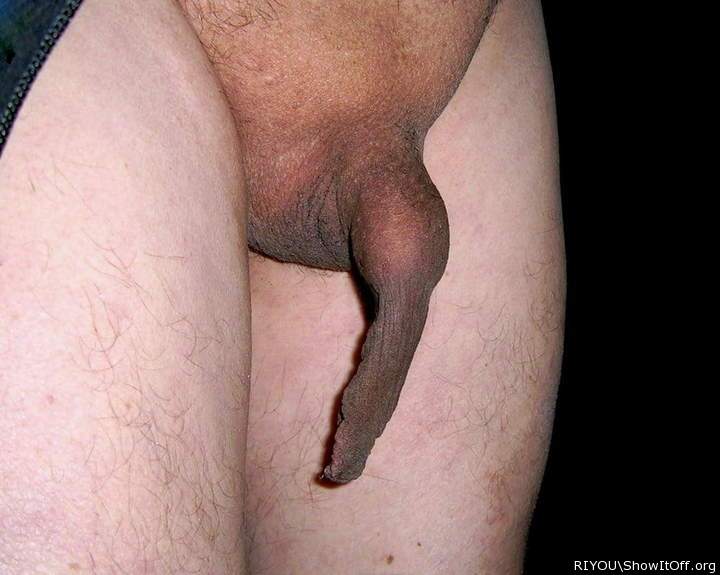 Photo of a cock from RIYOU