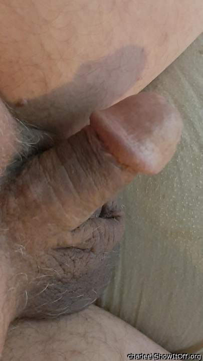 Photo of a sausage from charlee
