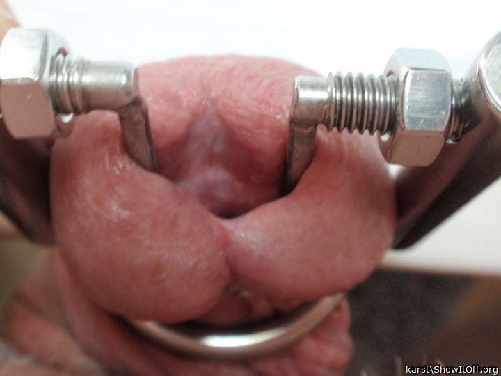 Photo of a snake from karst