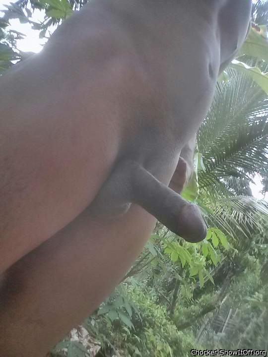 Photo of a hot dog from chocker