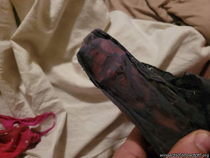 Photo of a penile from winger250
