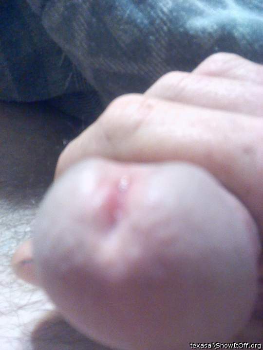 Photo of a middle leg from texasal