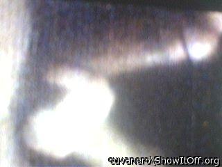 Photo of a middle leg from cuvanero